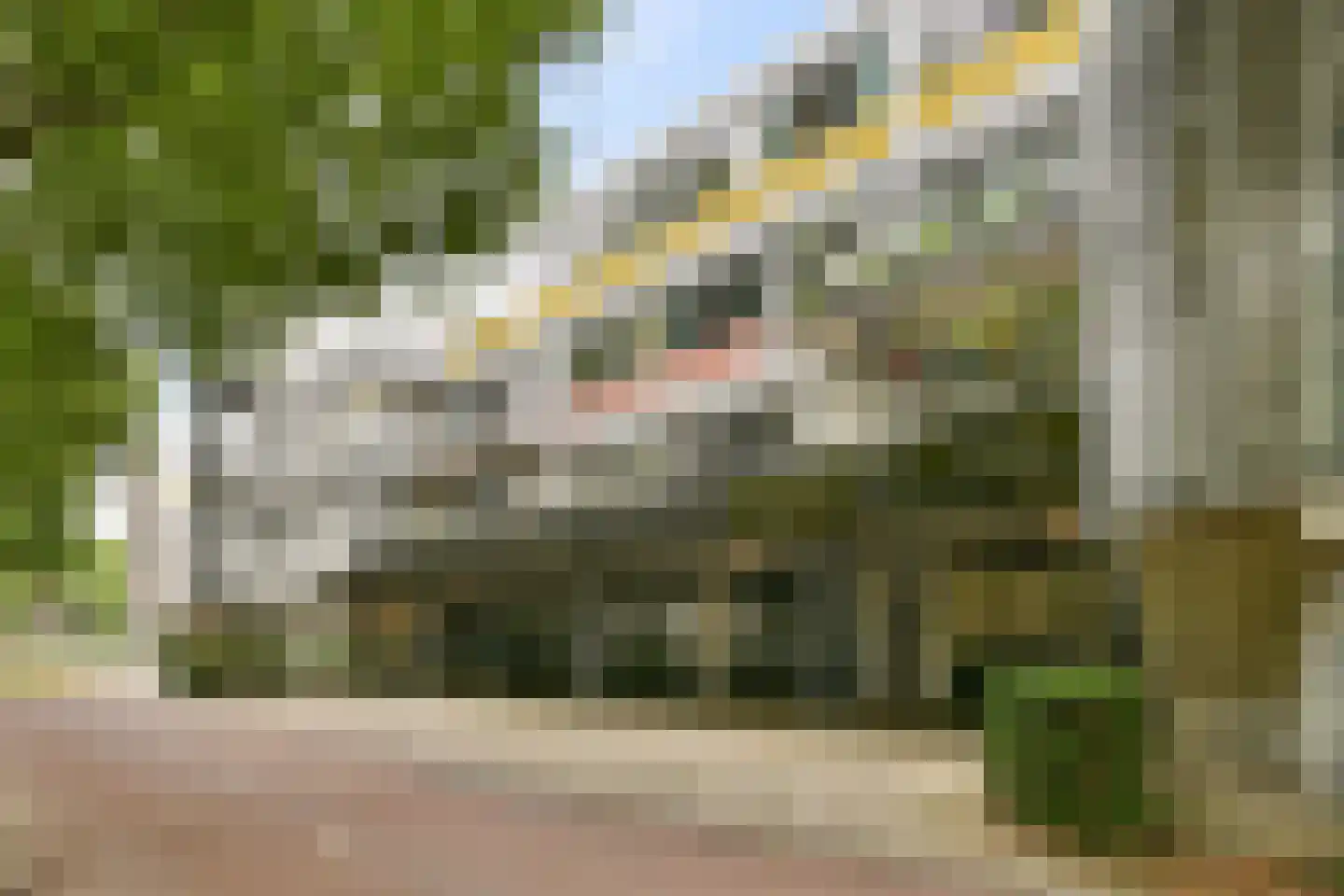 Ruiseveenpad 92 Amsterdam thumbnail 23