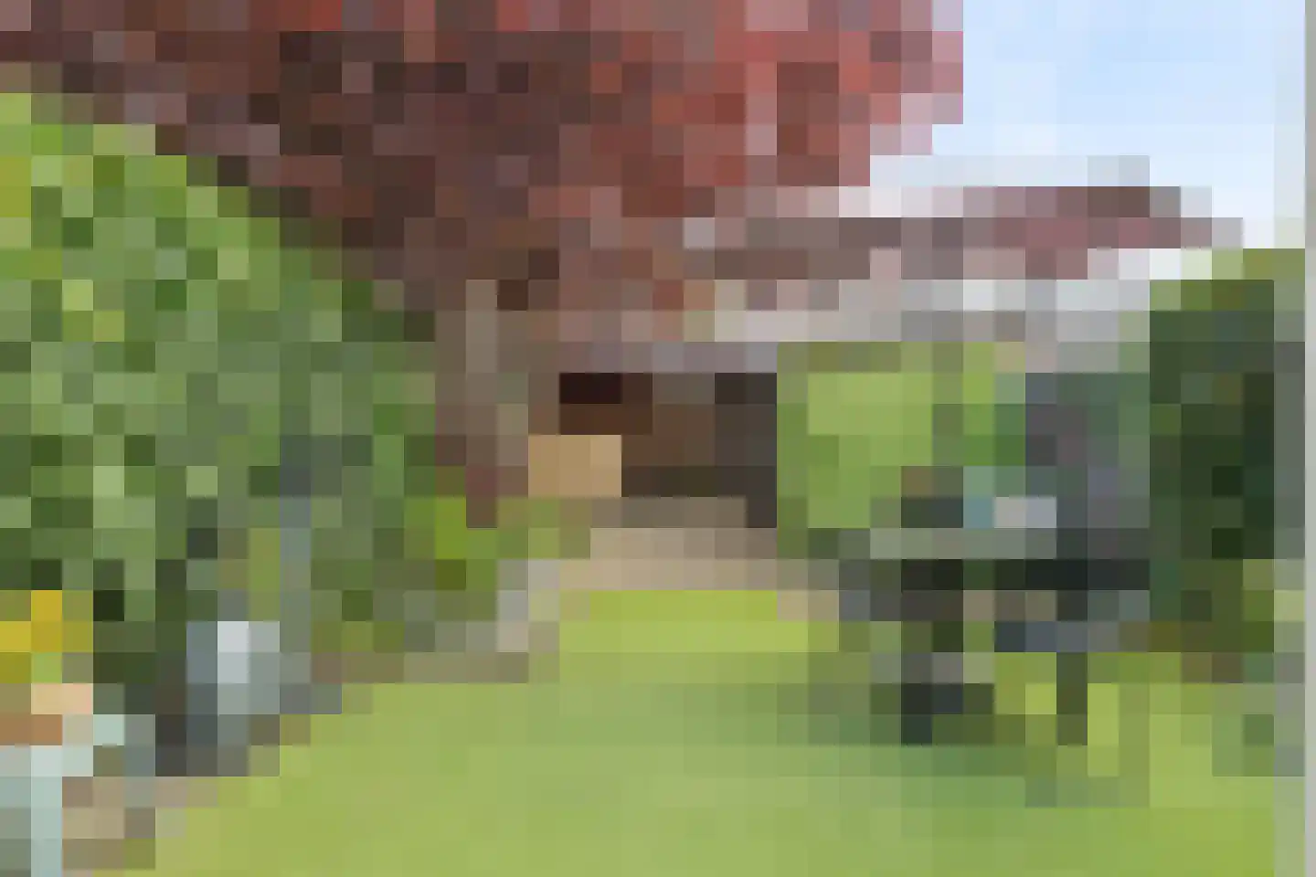 Ruissenbeemd 16 Breda thumbnail 50