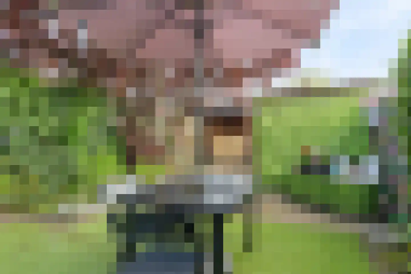 Ruissenbeemd 16 Breda thumbnail 51