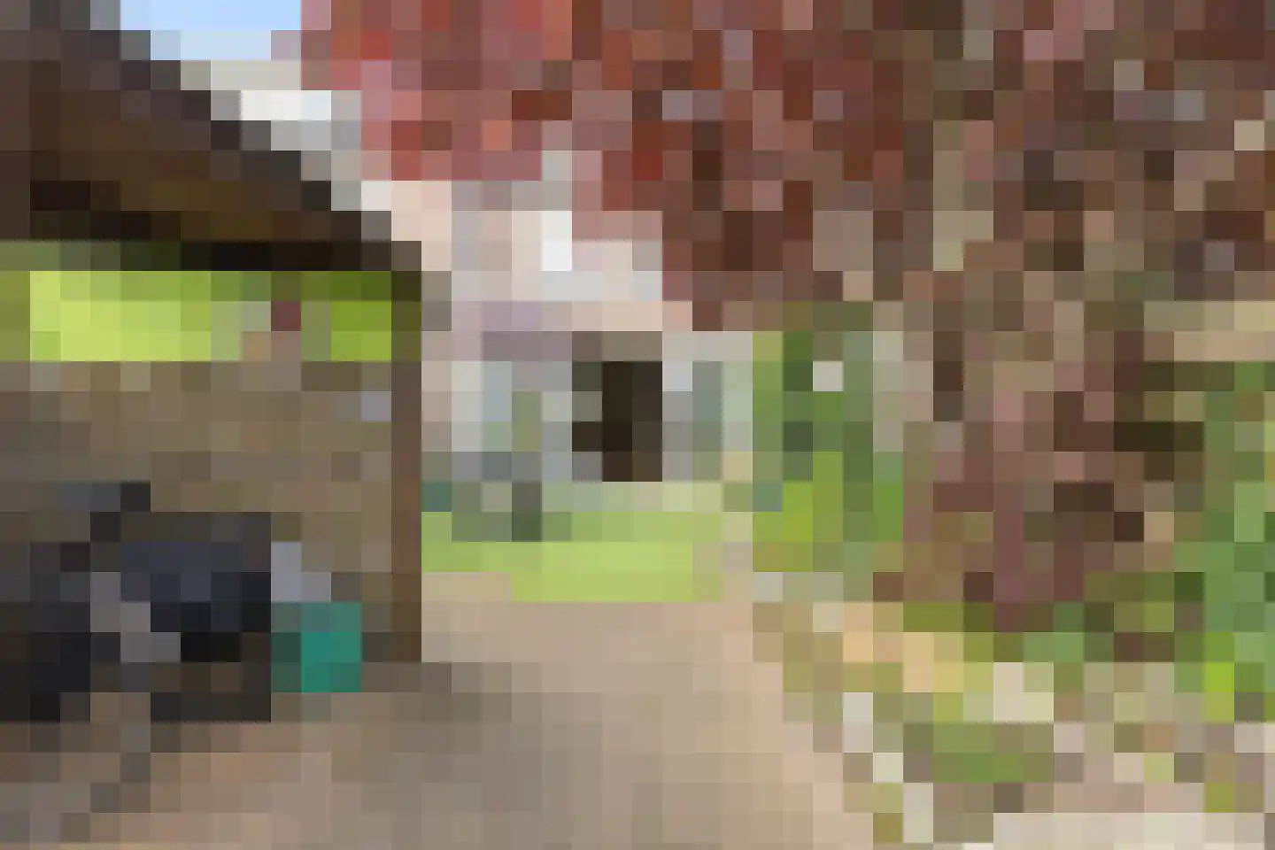 Ruissenbeemd 16 Breda thumbnail 53