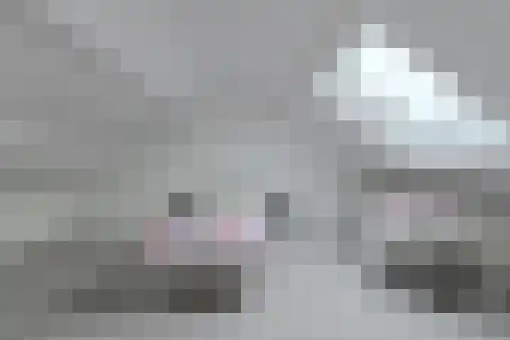 Ruissenbeemd 17 Breda thumbnail 31