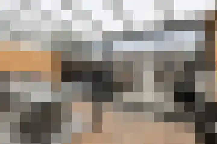 Ruissenbeemd 17 Breda thumbnail 35