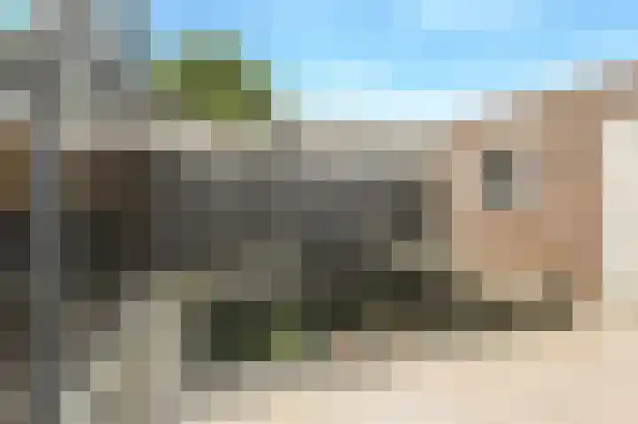 Ruissenbeemd 17 Breda thumbnail 40