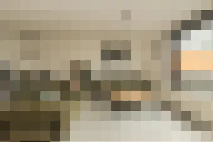 Ruissenbeemd 17 Breda thumbnail 6
