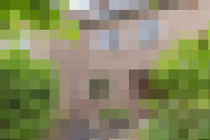 Ruissenbeemd 5 Breda thumbnail 10