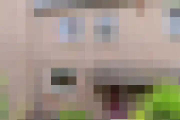 Ruissenbeemd 5 Breda thumbnail 11