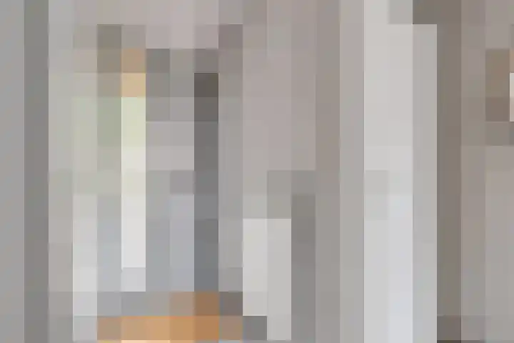 Ruissenbeemd 5 Breda thumbnail 12