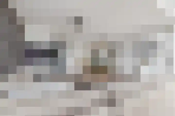 Ruissenbeemd 5 Breda foto 2