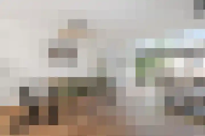Ruissenbeemd 5 Breda thumbnail 20