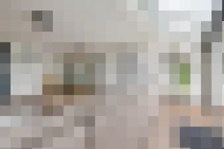 Ruissenbeemd 5 Breda thumbnail 25