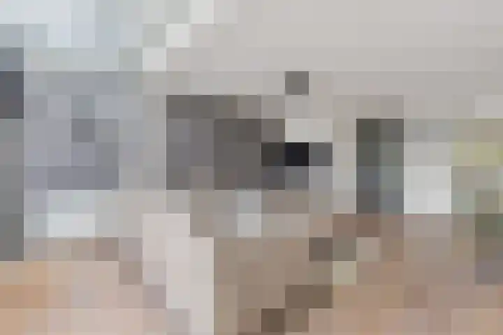 Ruissenbeemd 5 Breda thumbnail 26