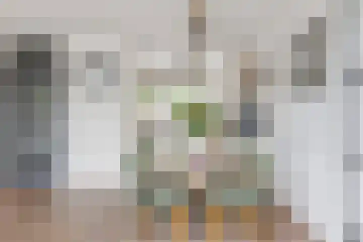 Ruissenbeemd 5 Breda thumbnail 28