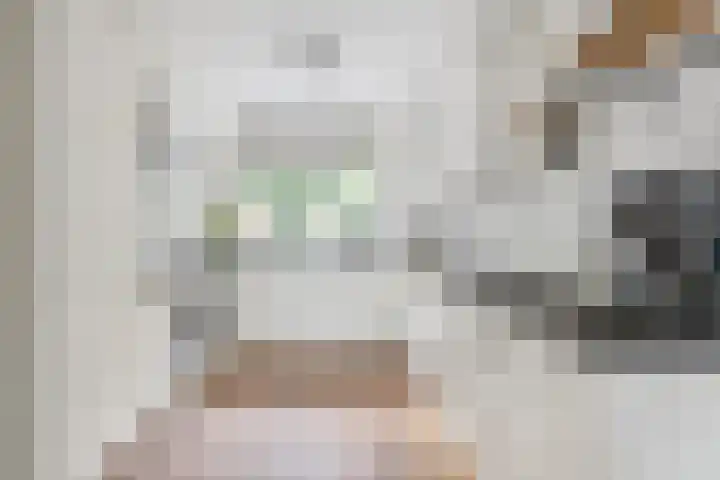 Ruissenbeemd 5 Breda thumbnail 30