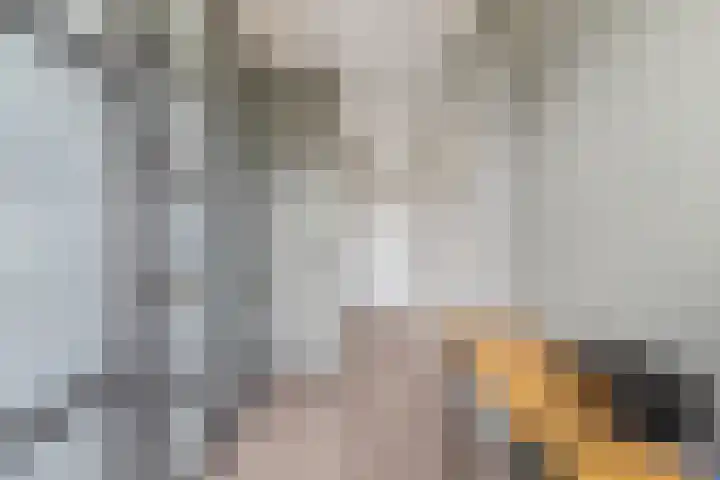 Ruissenbeemd 5 Breda thumbnail 36