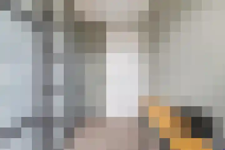 Ruissenbeemd 5 Breda thumbnail 37