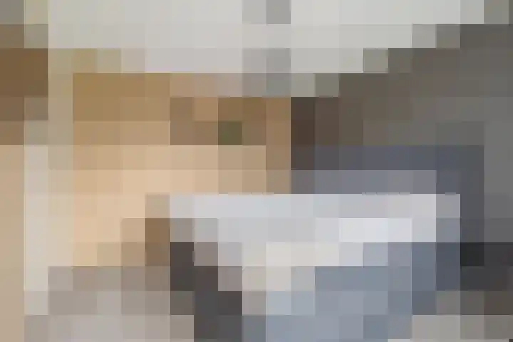 Ruissenbeemd 5 Breda thumbnail 39