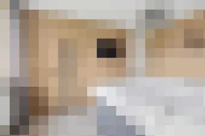 Ruissenbeemd 5 Breda thumbnail 40