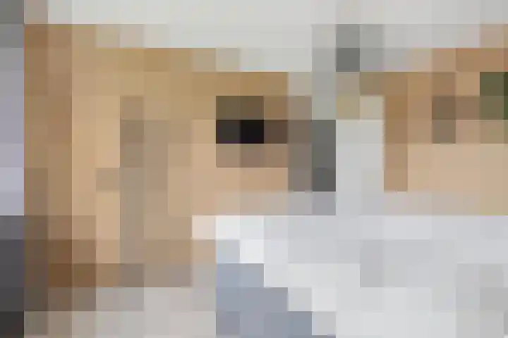 Ruissenbeemd 5 Breda thumbnail 41