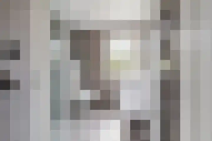 Ruissenbeemd 5 Breda thumbnail 47
