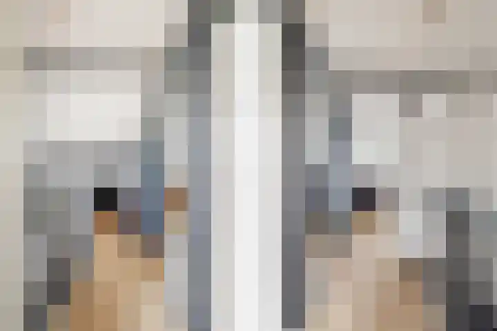 Ruissenbeemd 5 Breda thumbnail 52