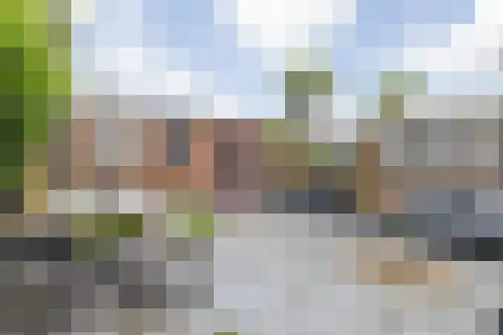 Ruissenbeemd 5 Breda thumbnail 61