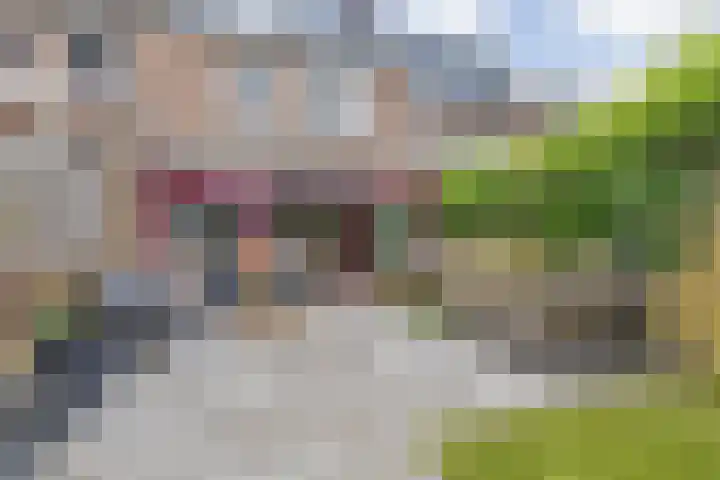 Ruissenbeemd 5 Breda thumbnail 62