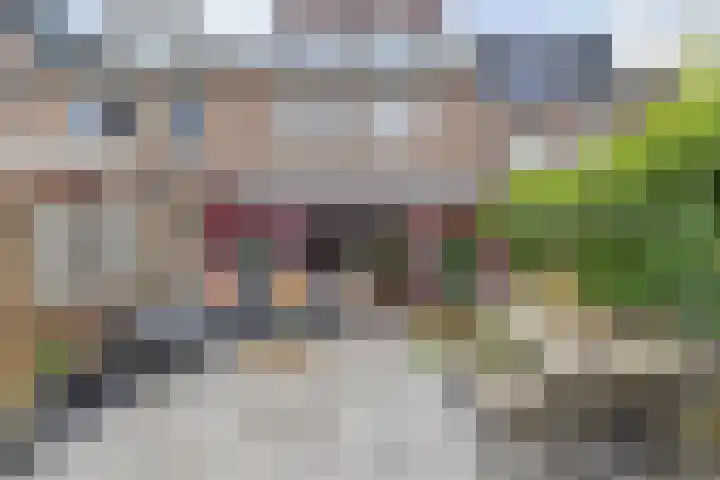 Ruissenbeemd 5 Breda thumbnail 63