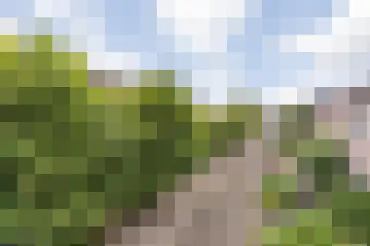 Ruissenbeemd 5 Breda thumbnail 7