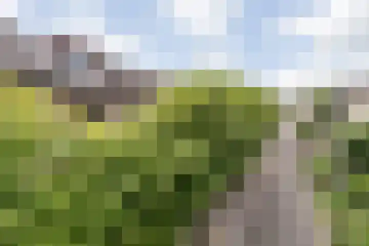 Ruissenbeemd 5 Breda thumbnail 8
