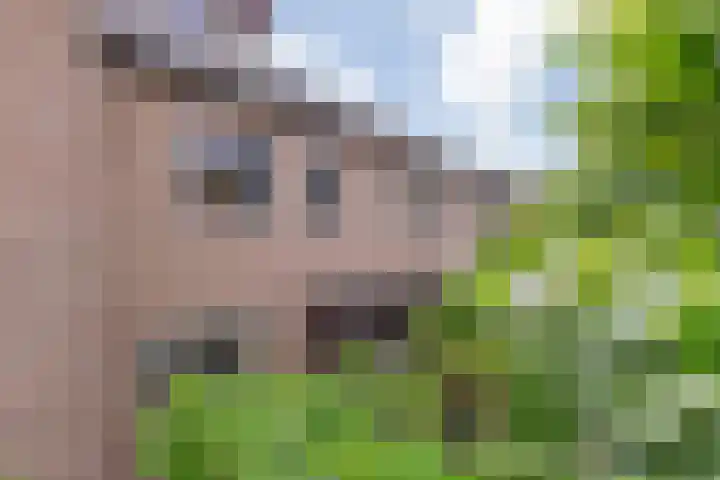 Ruissenbeemd 5 Breda thumbnail 9