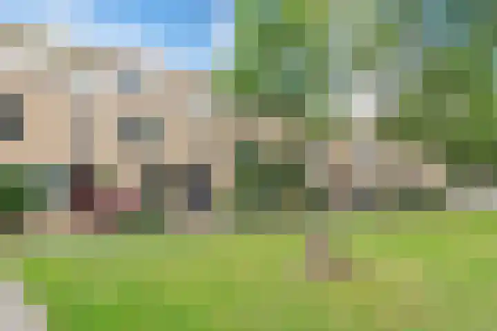 Ruisvoorn 10 Krommenie