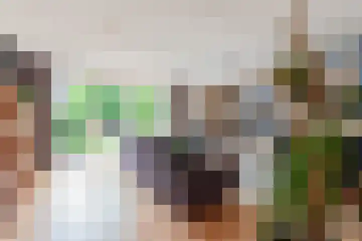 Ruisvoorn 10 Krommenie foto 2