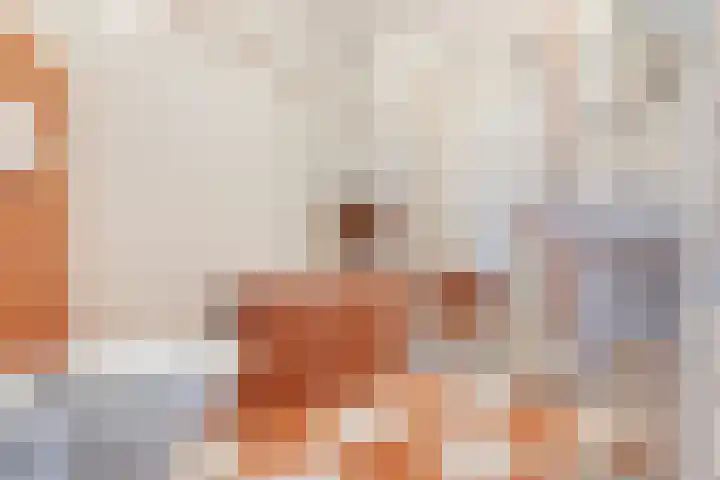 Ruisvoorn 10 Krommenie thumbnail 21