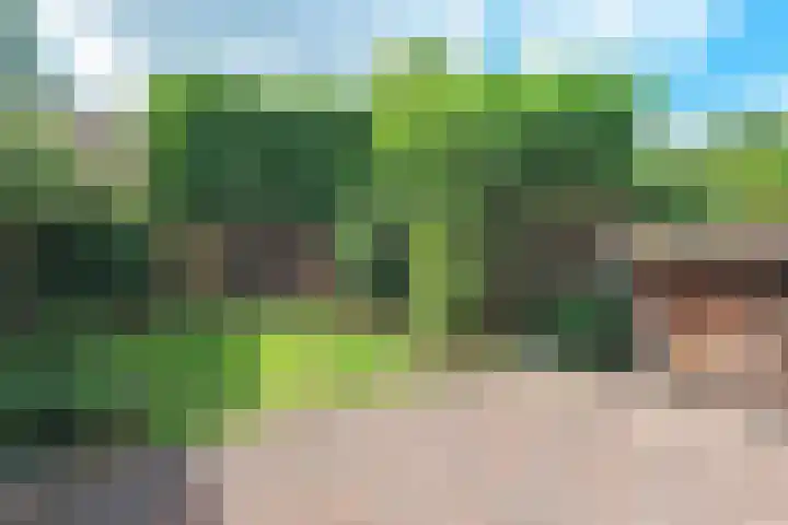 Ruisvoorn 10 Krommenie thumbnail 25