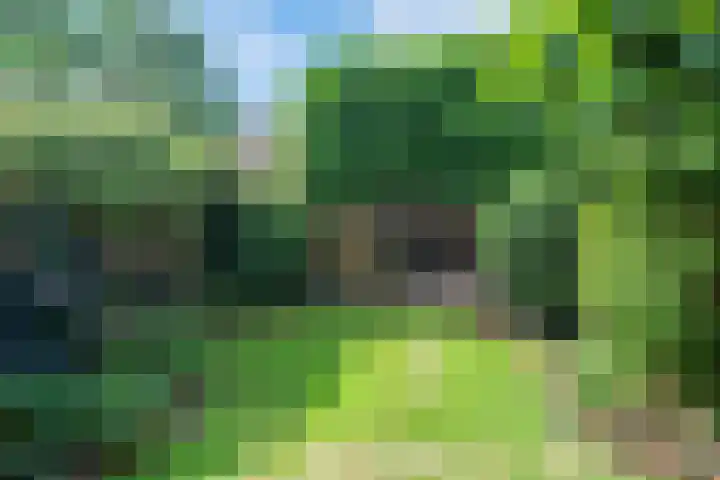 Ruisvoorn 10 Krommenie thumbnail 26