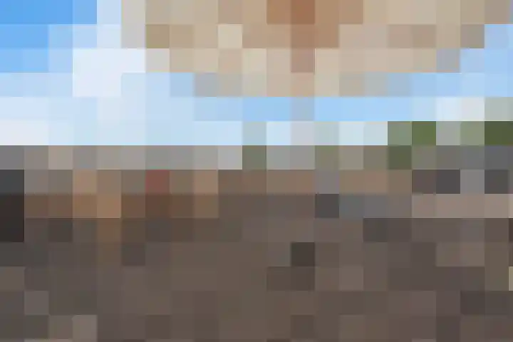 Ruisvoorn 10 Krommenie thumbnail 29