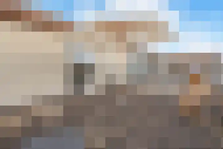 Ruisvoorn 10 Krommenie thumbnail 30
