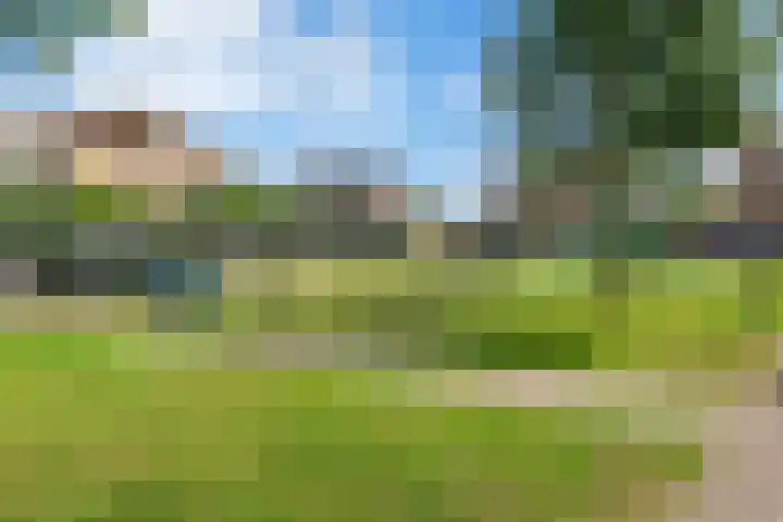 Ruisvoorn 10 Krommenie thumbnail 32