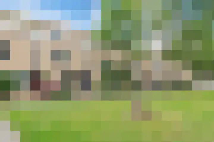Ruisvoorn 10 Krommenie thumbnail 37