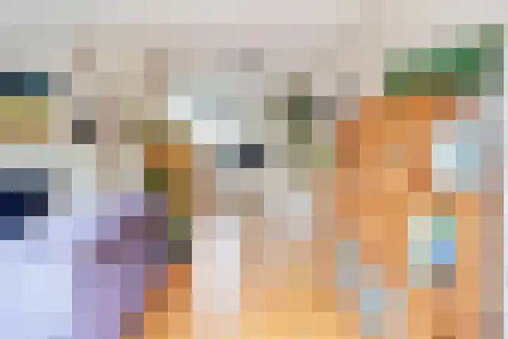 Ruisvoorn 10 Krommenie thumbnail 6