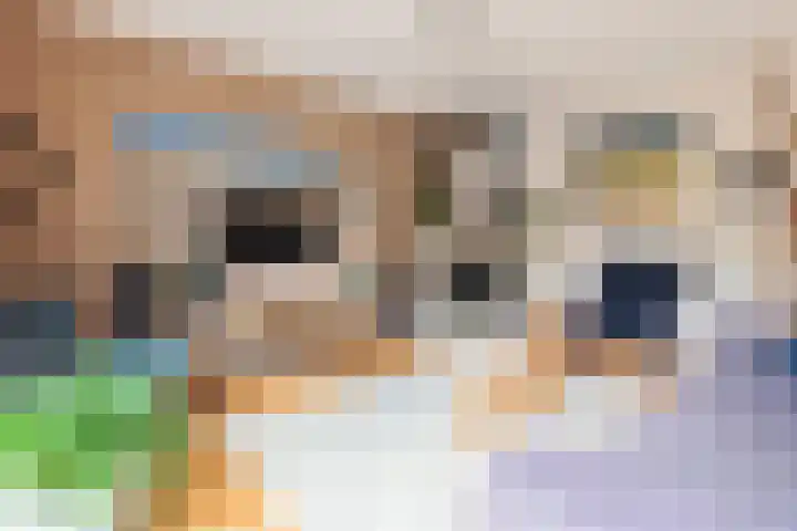 Ruisvoorn 10 Krommenie thumbnail 7