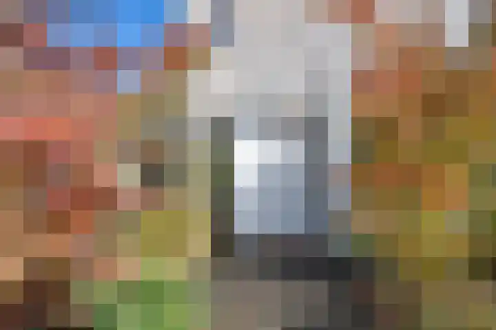 Ruisvoorn 11 Tiel thumbnail 12