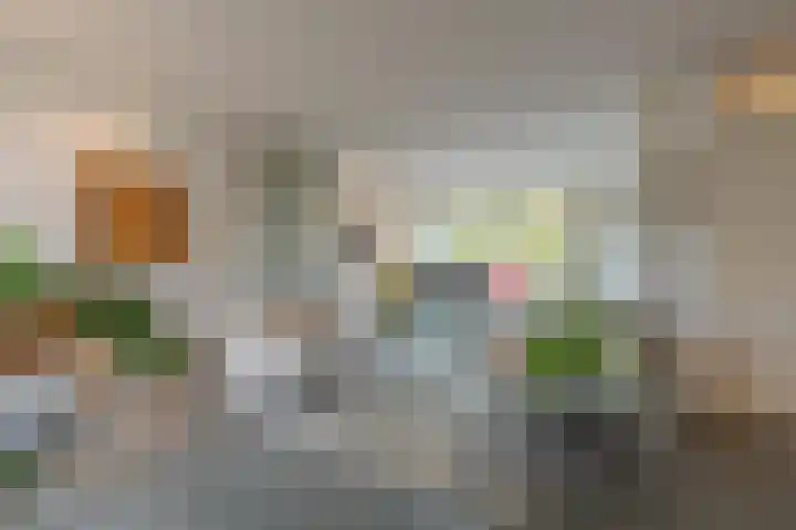 Ruisvoorn 11 Tiel thumbnail 15