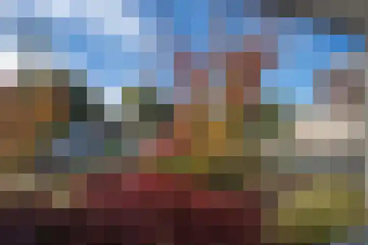 Ruisvoorn 11 Tiel thumbnail 23
