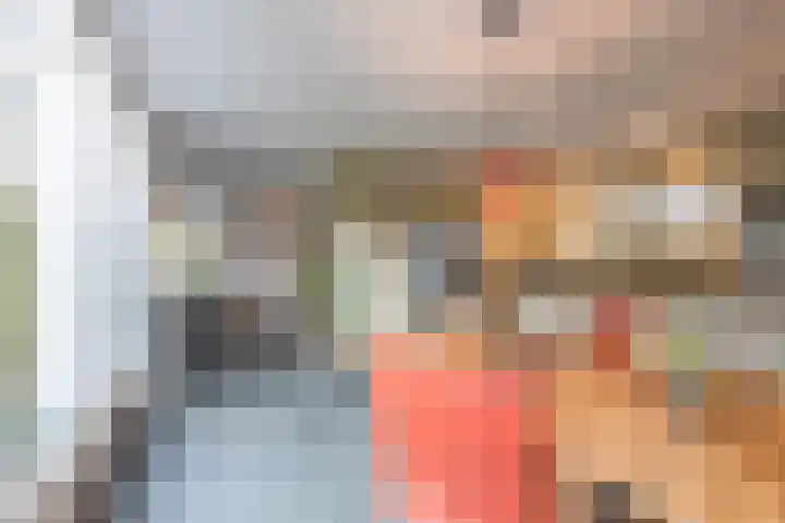 Ruisvoorn 11 Tiel thumbnail 28