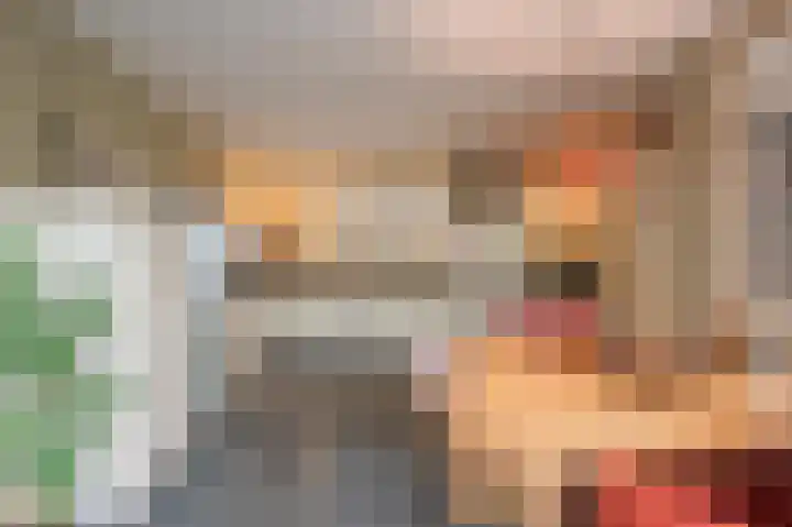 Ruisvoorn 11 Tiel thumbnail 29