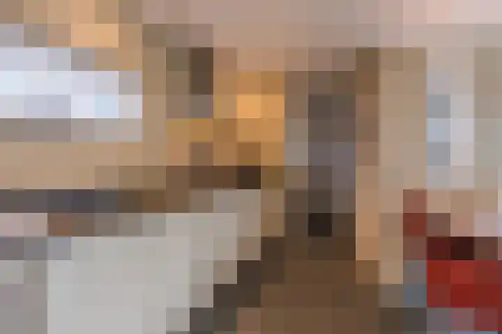 Ruisvoorn 11 Tiel thumbnail 31