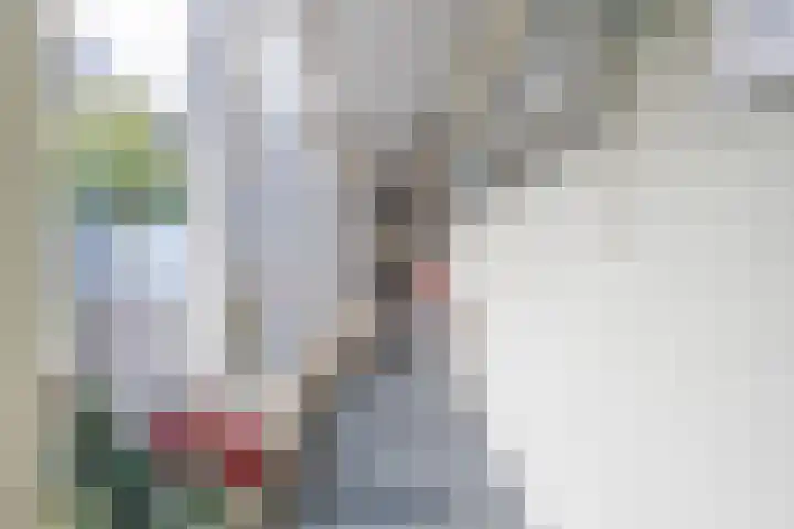 Ruisvoorn 11 Tiel thumbnail 33