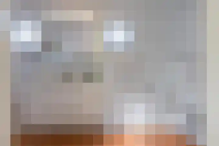 Ruisvoorn 11 Tiel thumbnail 34