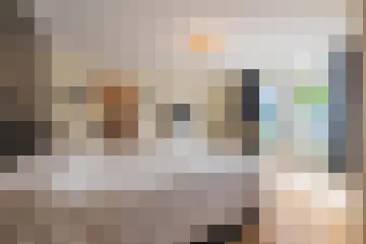 Ruisvoorn 11 Tiel thumbnail 41